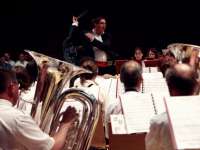 Les Basses
